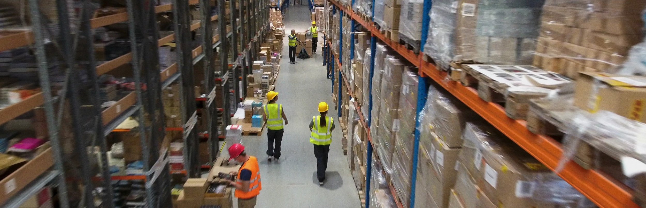 Various people working in the warehouse